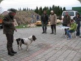 IMG_01212